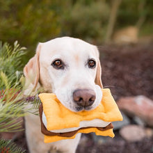 画像をギャラリービューアに読み込む, PLAY | キャンプコービン スモア