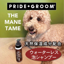 画像をギャラリービューアに読み込む, PRIDE+GROOM | ドライシャンプー