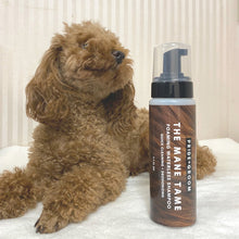 画像をギャラリービューアに読み込む, PRIDE+GROOM | ドライシャンプー