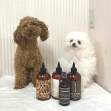 画像をギャラリービューアに読み込む, PRIDE+GROOM | ノンシェダーシャンプー355ml