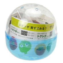 画像をギャラリービューアに読み込む, 育てるカプセル サボテン【アソートの為、種類はお選びいただけません】