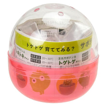 画像をギャラリービューアに読み込む, 育てるカプセル サボテン【アソートの為、種類はお選びいただけません】