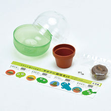 画像をギャラリービューアに読み込む, 育てるカプセル サボテン【アソートの為、種類はお選びいただけません】