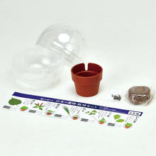 画像をギャラリービューアに読み込む, 育てるカプセル 薬味【アソートの為、種類はお選びいただけません】