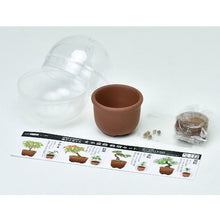 画像をギャラリービューアに読み込む, 育てるカプセル ミニ盆栽 4種アソート【アソートの為、種類はお選びいただけません】