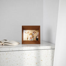 画像をギャラリービューアに読み込む, ルックアウト フォトフレーム 14×18  / Umbra アンブラ