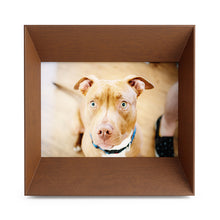 画像をギャラリービューアに読み込む, ルックアウト フォトフレーム 14×18  / Umbra アンブラ