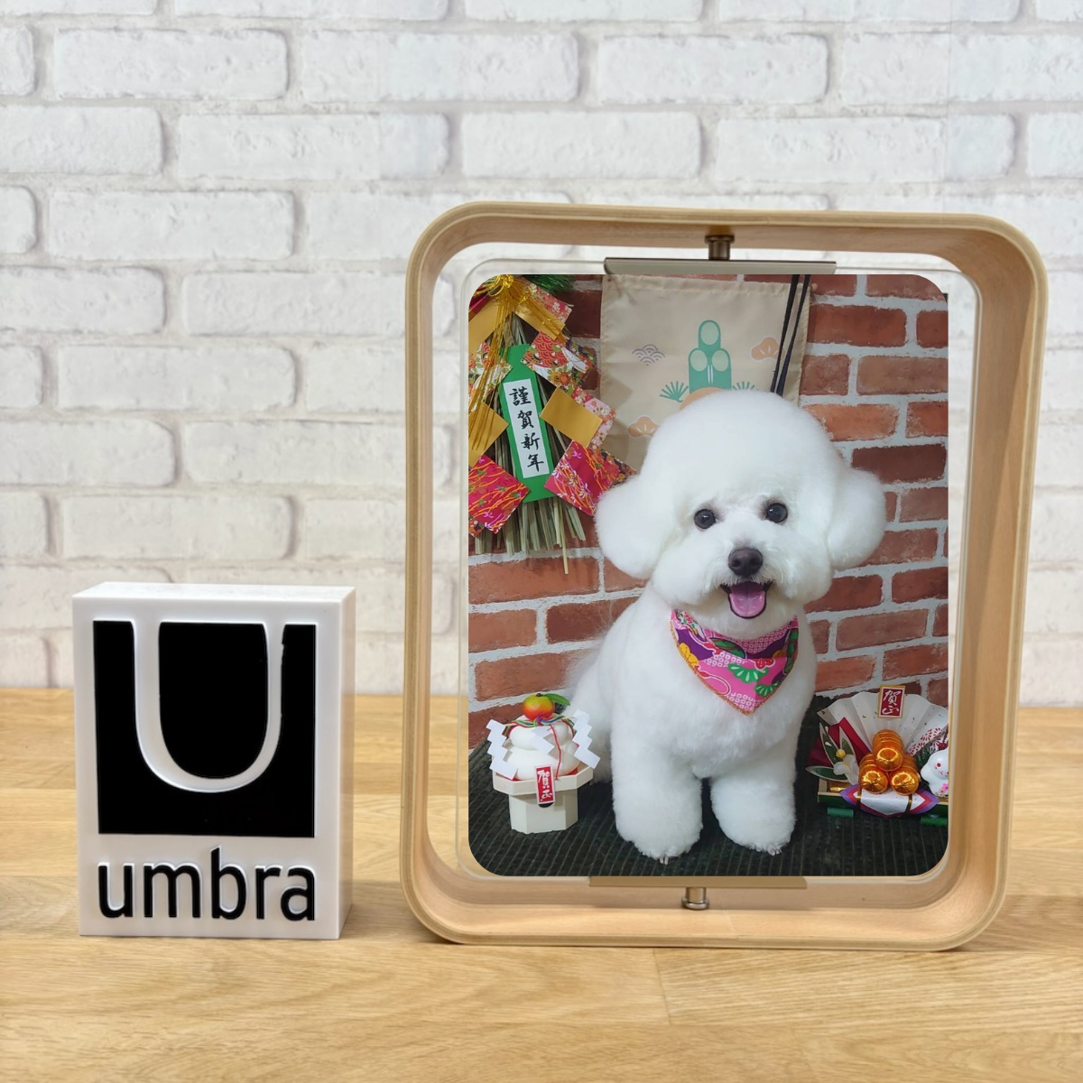 umbra/アンブラ – entre vida-online