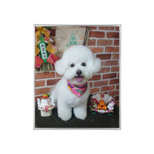 画像をギャラリービューアに読み込む, 【UVフォト】umbra(アンブラ) | プリズマ フォトフレーム 203×254mm 六切
