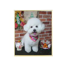 画像をギャラリービューアに読み込む, 【UVフォト】umbra(アンブラ) | プリズマ フォトフレーム 203×254mm 六切
