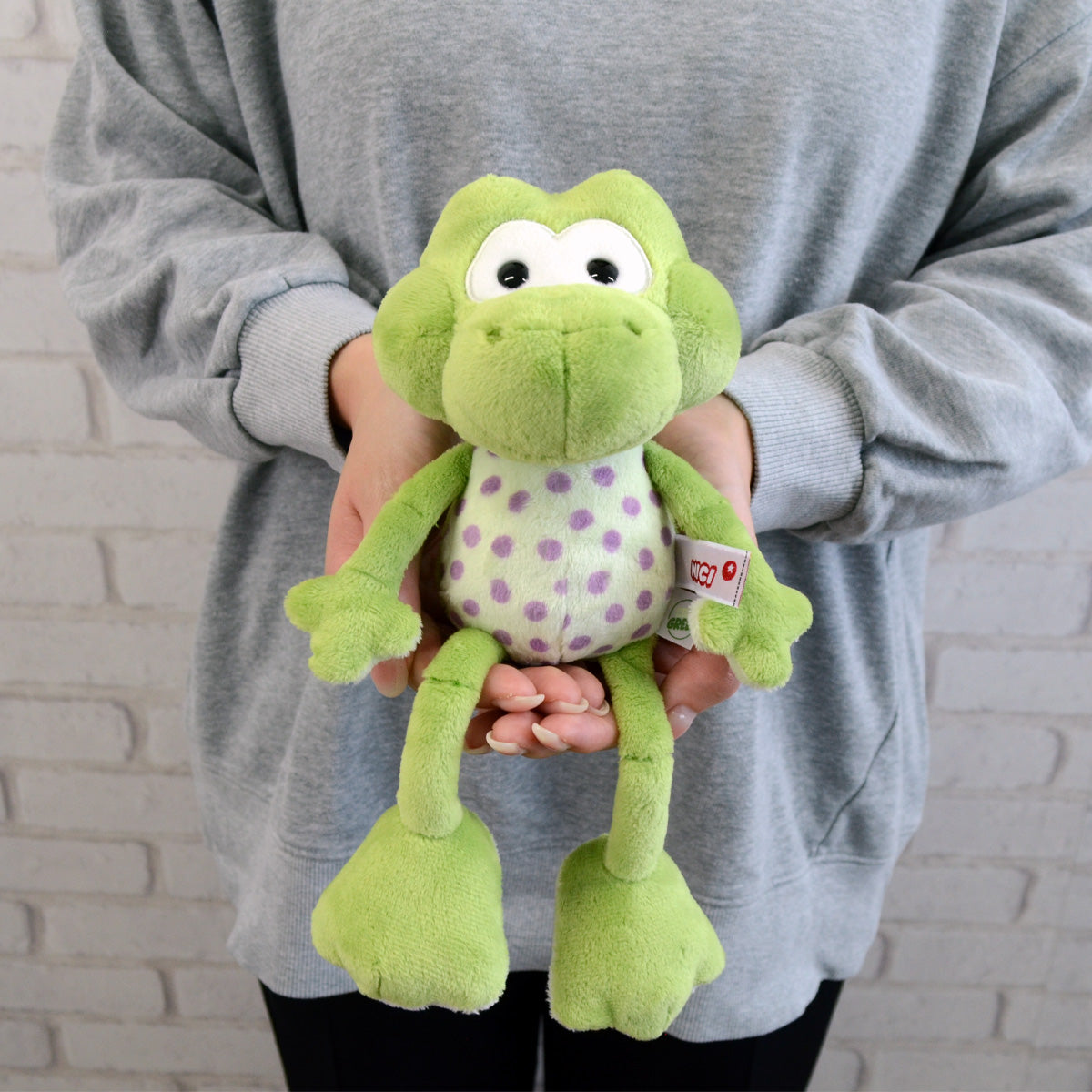 NICI (ニキ）| FF25 フロッグ フリドリン ぬいぐるみ 25cm – entre