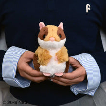 画像をギャラリービューアに読み込む, NICI(ニキ) | Homies26　モルモット　ぬいぐるみ　１２cm
