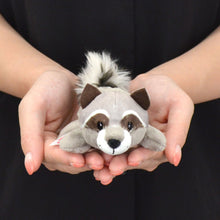 画像をギャラリービューアに読み込む, NICI (ニキ）| MN winter24 ラクーン レノ 12cm
