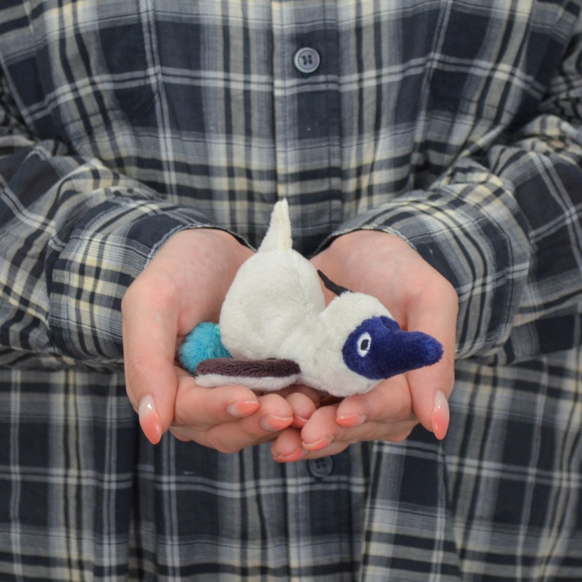 NICI (ニキ）| MN WF25 アオアシカツオドリ スーラ 12cm – entre vida