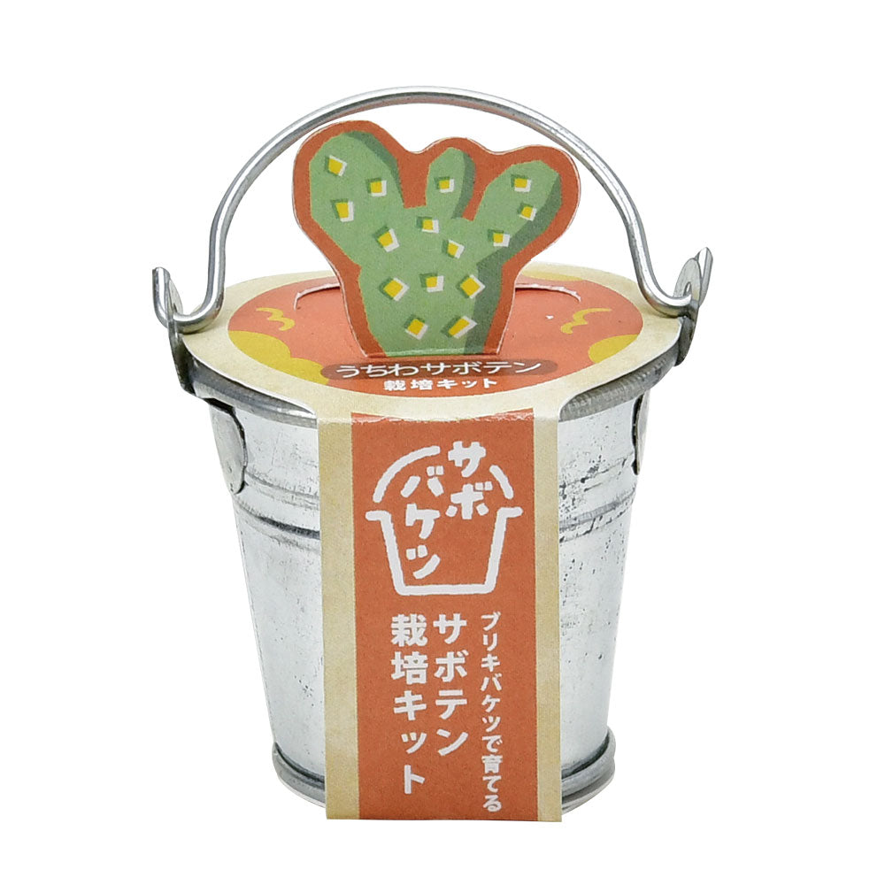 サボバケツ栽培キット　ウチワサボテン
