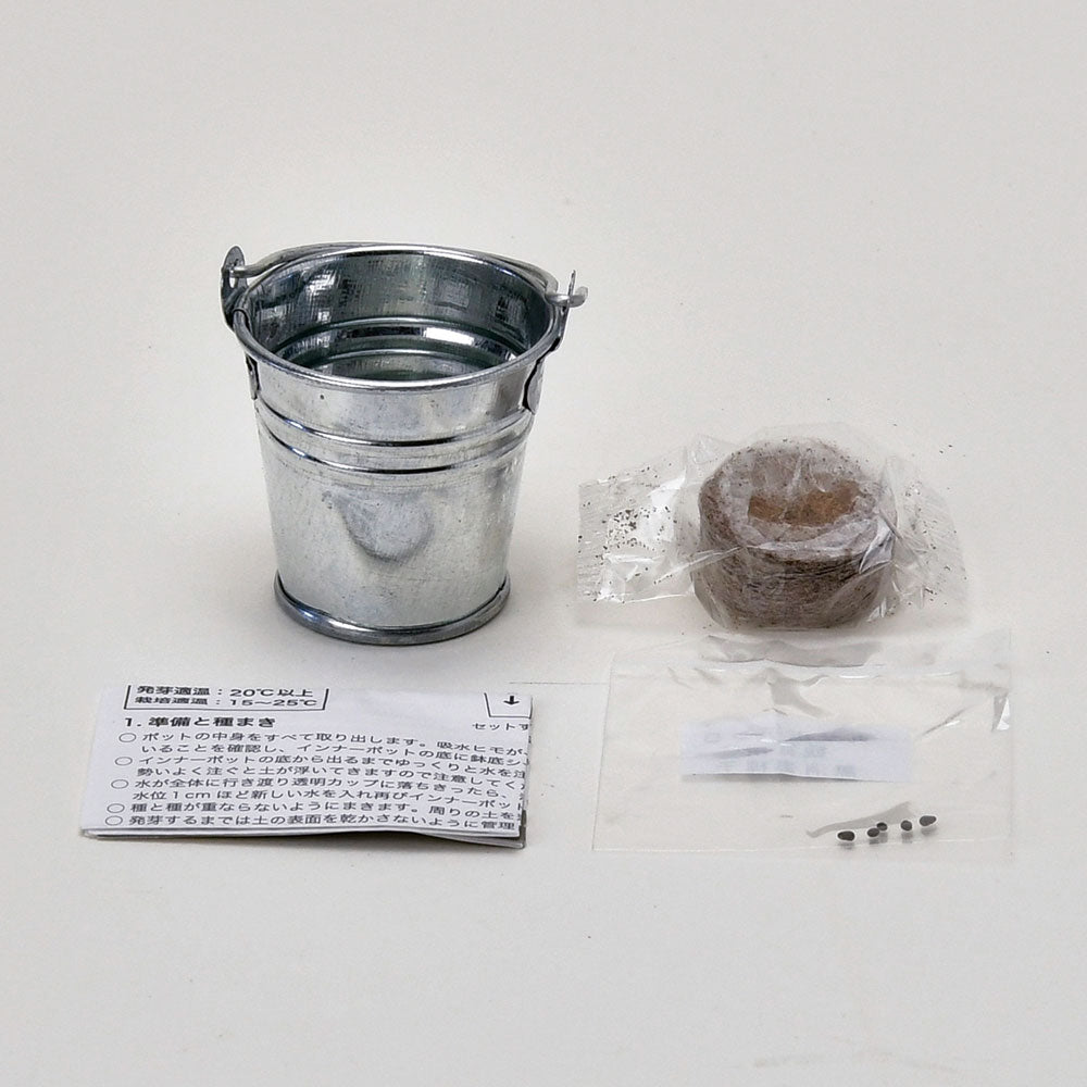 サボバケツ栽培キット ウチワサボテン – entre vida-online