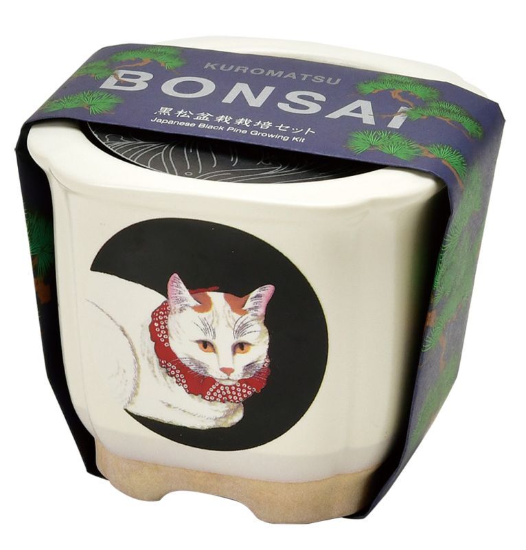 JAPANESE BONSAI 松盆栽 – entre vida-online