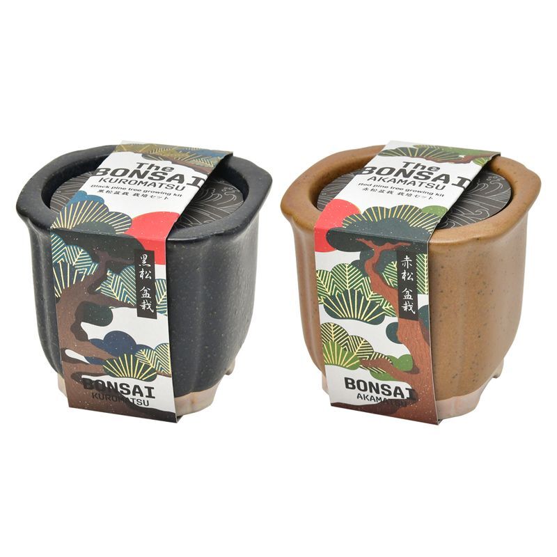 The BONSAI 盆栽栽培セット 松 – entre vida-online