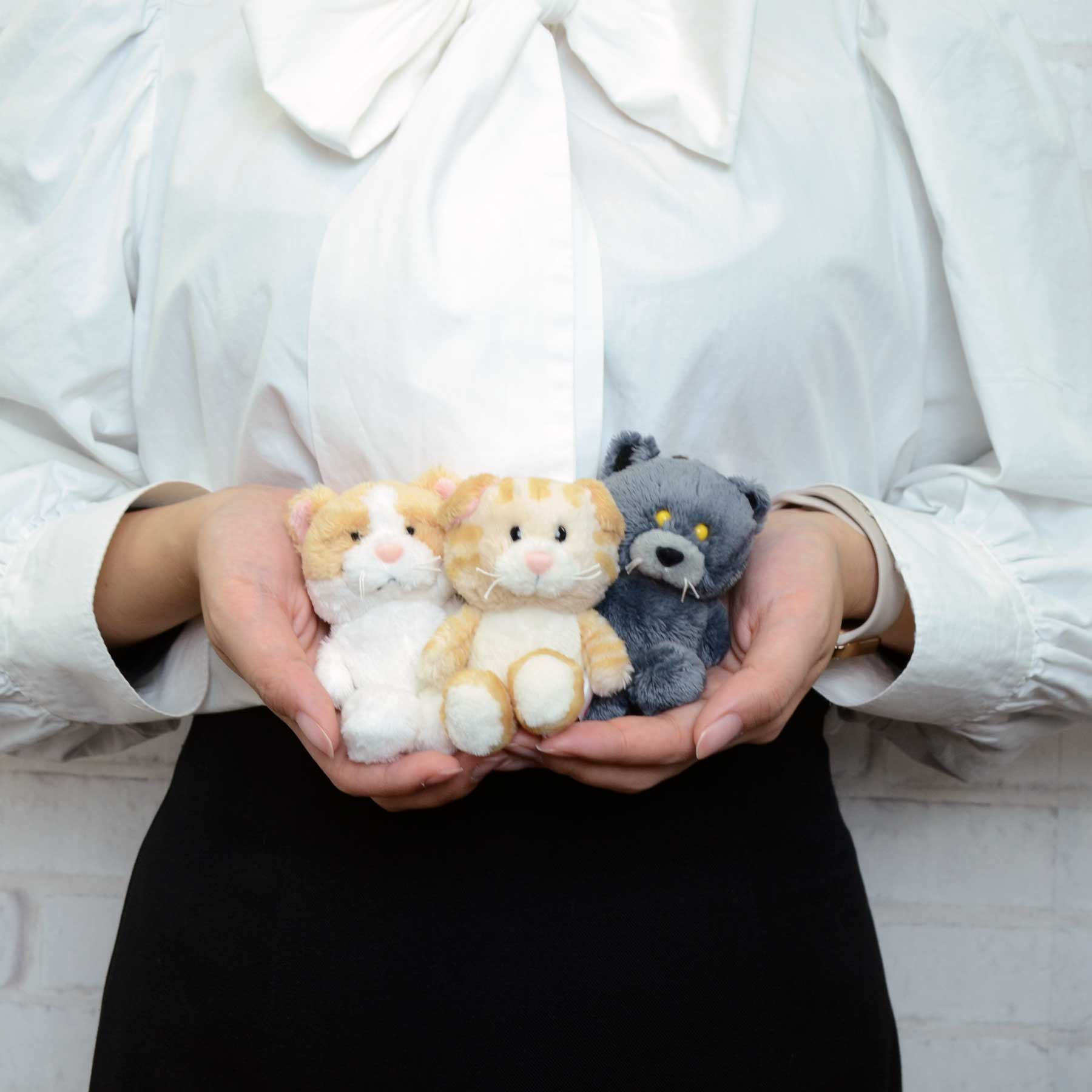 NICI(ニキ) | キーホルダー エキゾチックショートヘア 10cm – entre