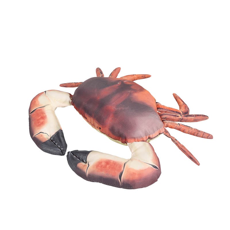 DULTON(ダルトン) | クッション FISHES BROWN CRAB 25 フィッシーズ