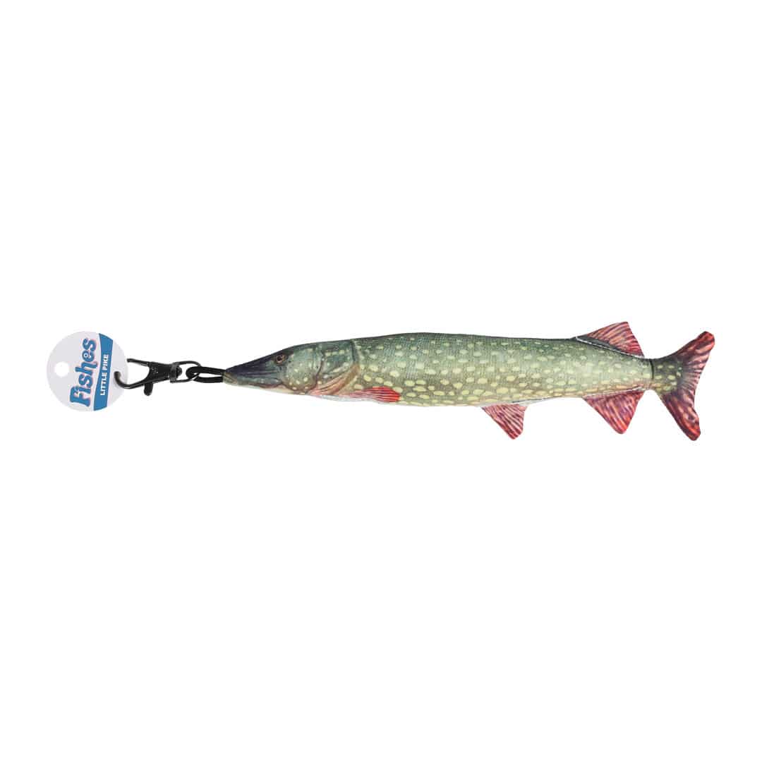 DULTON FISHES PIKE 195 フィッシーズ パイク DULTON ONLINE SHOP | FISHES PIKE 195(PIKE 195): インテリア雑貨