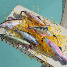 画像をギャラリービューアに読み込む, DULTON(ダルトン) | 魚キーホルダー リトル フィッシーズ 　LITTLE FISHES
