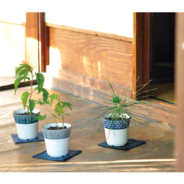 小型盆栽 2点セット 専用 7290126_1.jpg