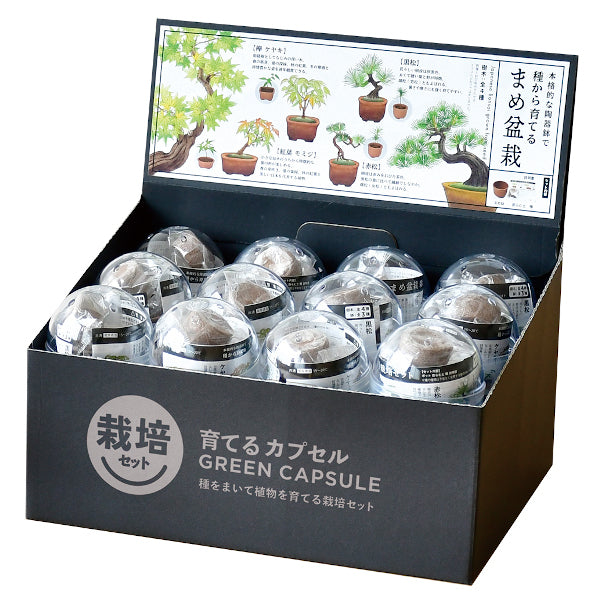 育てるカプセル ミニ盆栽 4種アソート【アソートの為、種類はお選びいただけません】
